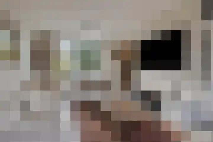 Cort van der Lindenstraat 214 Goes thumbnail 10