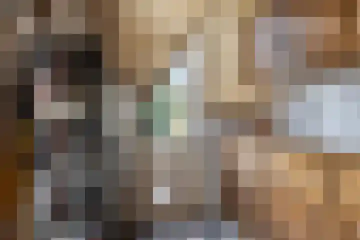 Cort van der Lindenstraat 214 Goes thumbnail 14