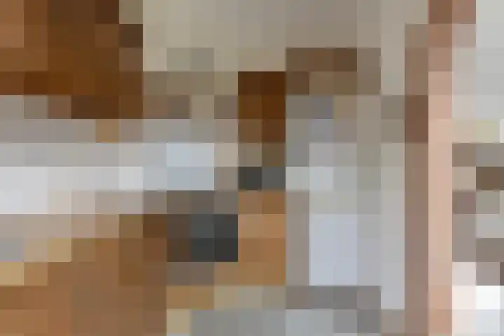 Cort van der Lindenstraat 214 Goes thumbnail 15