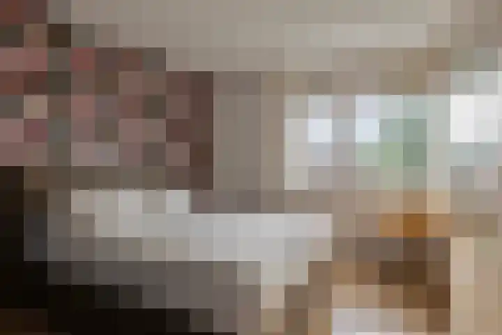 Cort van der Lindenstraat 214 Goes thumbnail 16