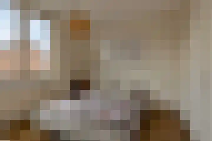 Cort van der Lindenstraat 214 Goes thumbnail 18