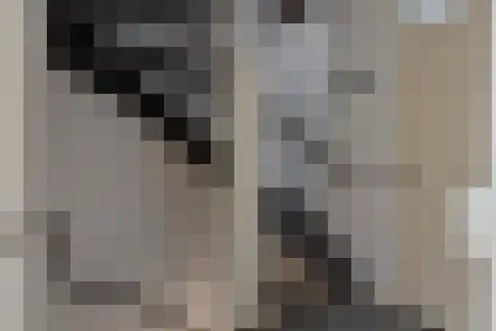Cort van der Lindenstraat 214 Goes thumbnail 24