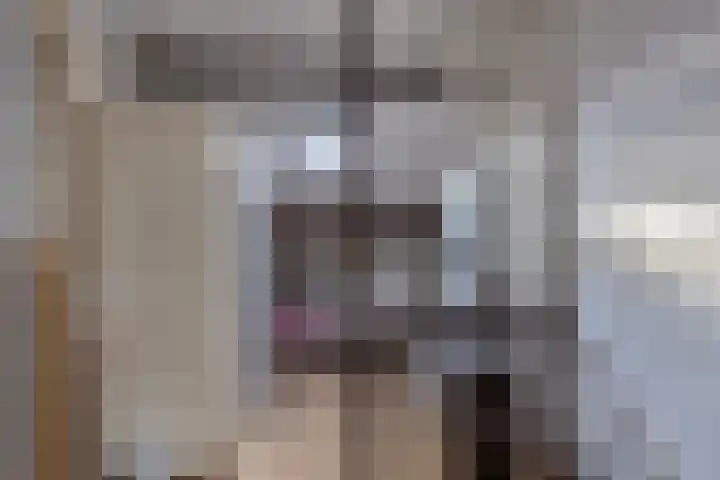 Cort van der Lindenstraat 214 Goes thumbnail 26