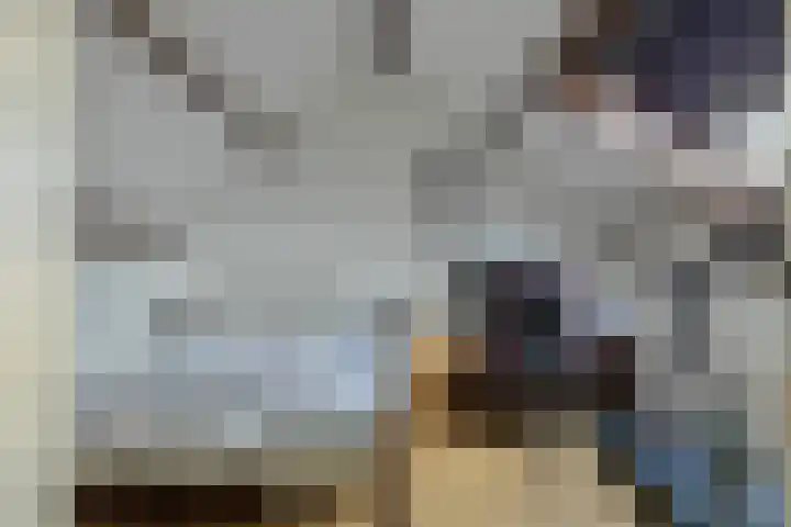 Cort van der Lindenstraat 214 Goes thumbnail 27