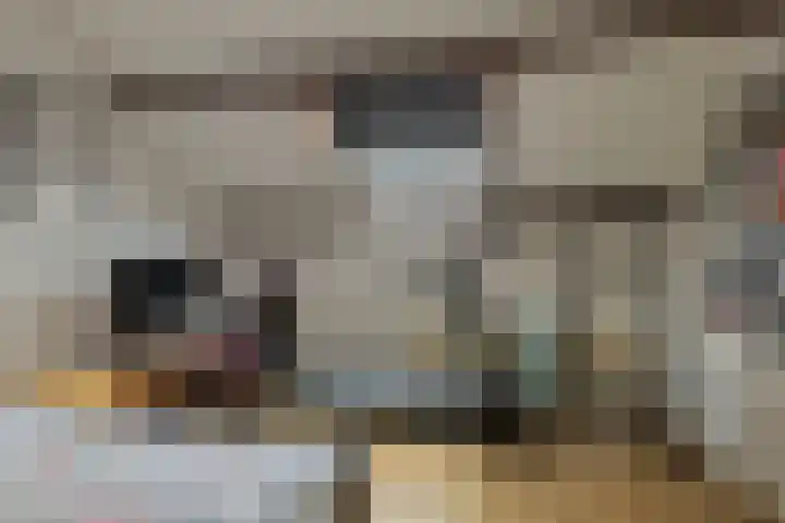 Cort van der Lindenstraat 214 Goes thumbnail 28