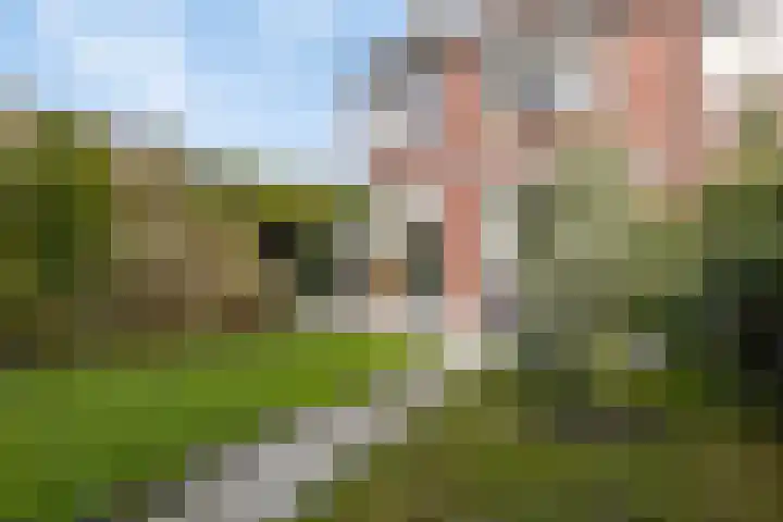 Cort van der Lindenstraat 214 Goes thumbnail 30