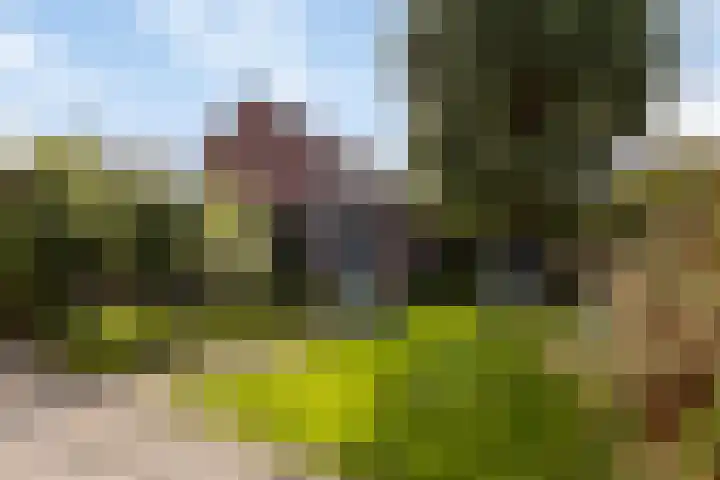 Cort van der Lindenstraat 214 Goes thumbnail 31