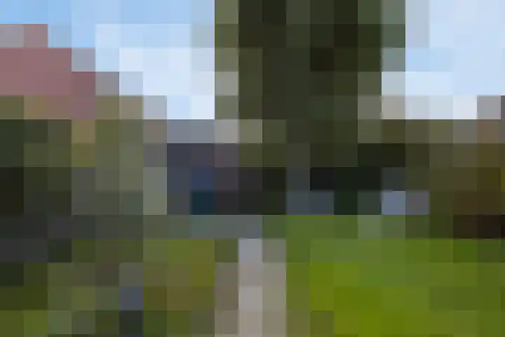 Cort van der Lindenstraat 214 Goes thumbnail 32