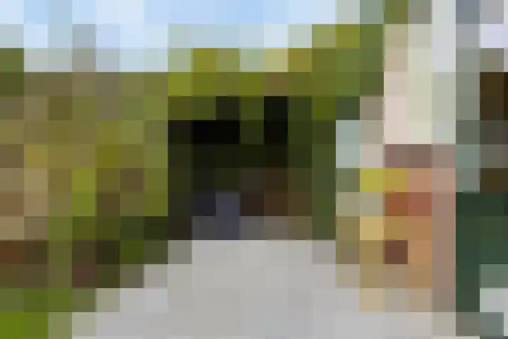 Cort van der Lindenstraat 214 Goes thumbnail 33