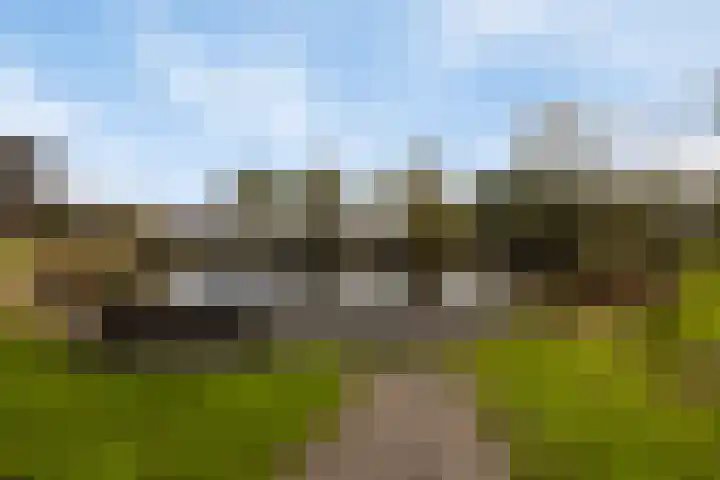 Cort van der Lindenstraat 214 Goes thumbnail 34