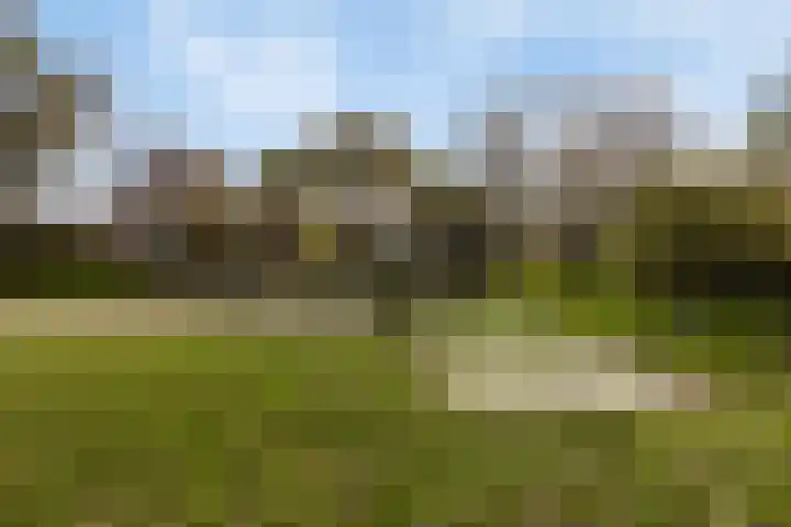 Cort van der Lindenstraat 214 Goes thumbnail 35