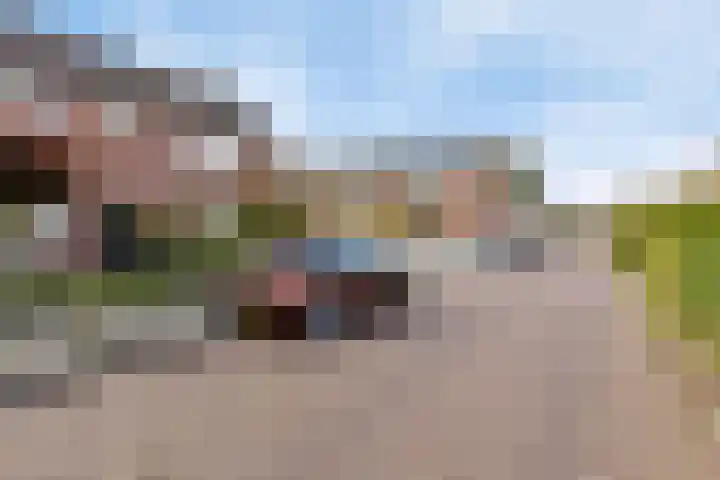 Cort van der Lindenstraat 214 Goes thumbnail 4