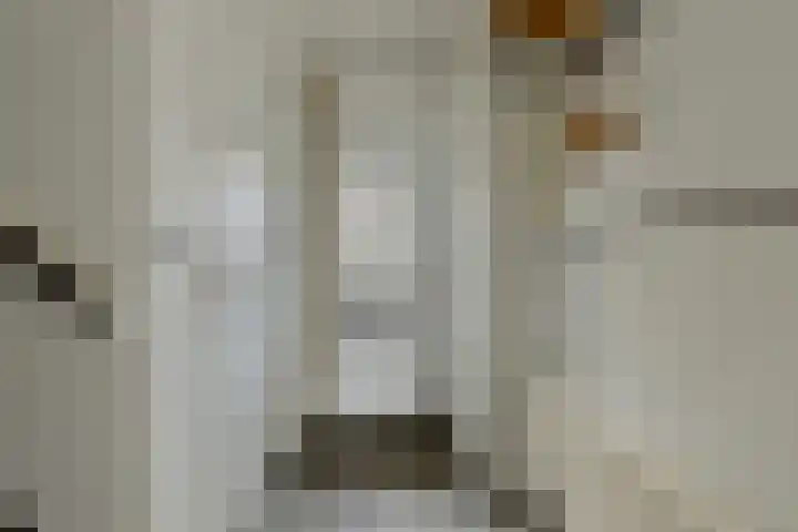 Cort van der Lindenstraat 214 Goes thumbnail 5