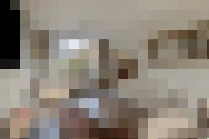 Cort van der Lindenstraat 214 Goes thumbnail 7