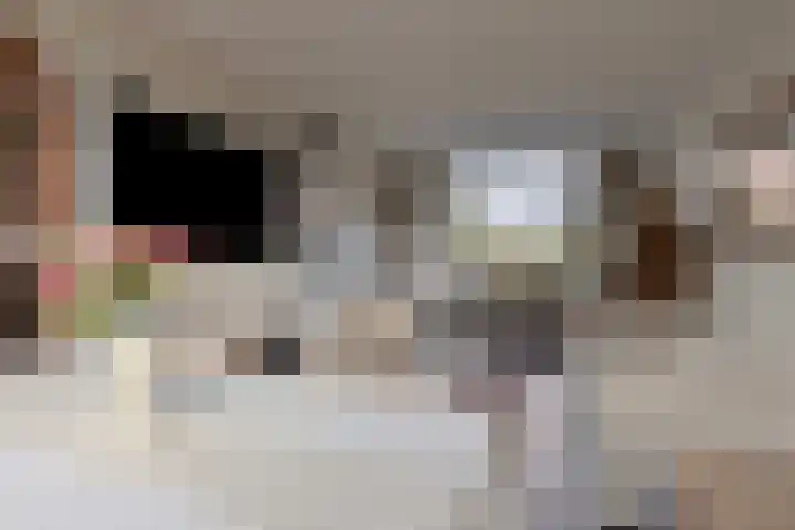 Cort van der Lindenstraat 214 Goes thumbnail 8