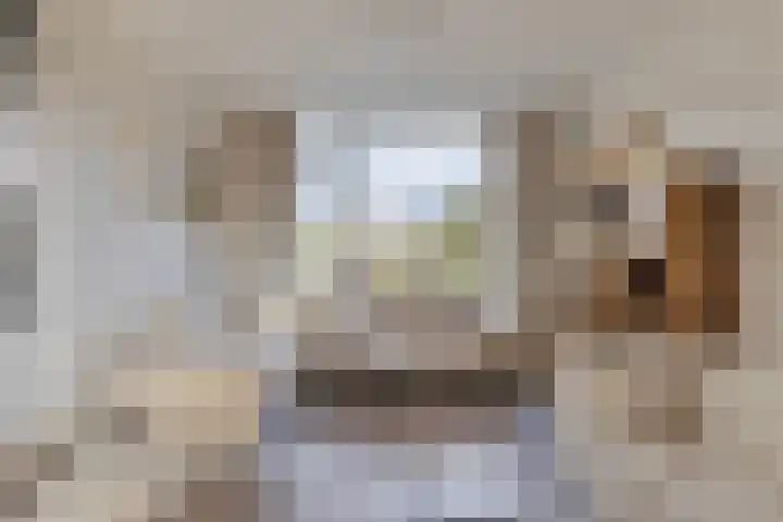 Cort van der Lindenstraat 214 Goes thumbnail 9