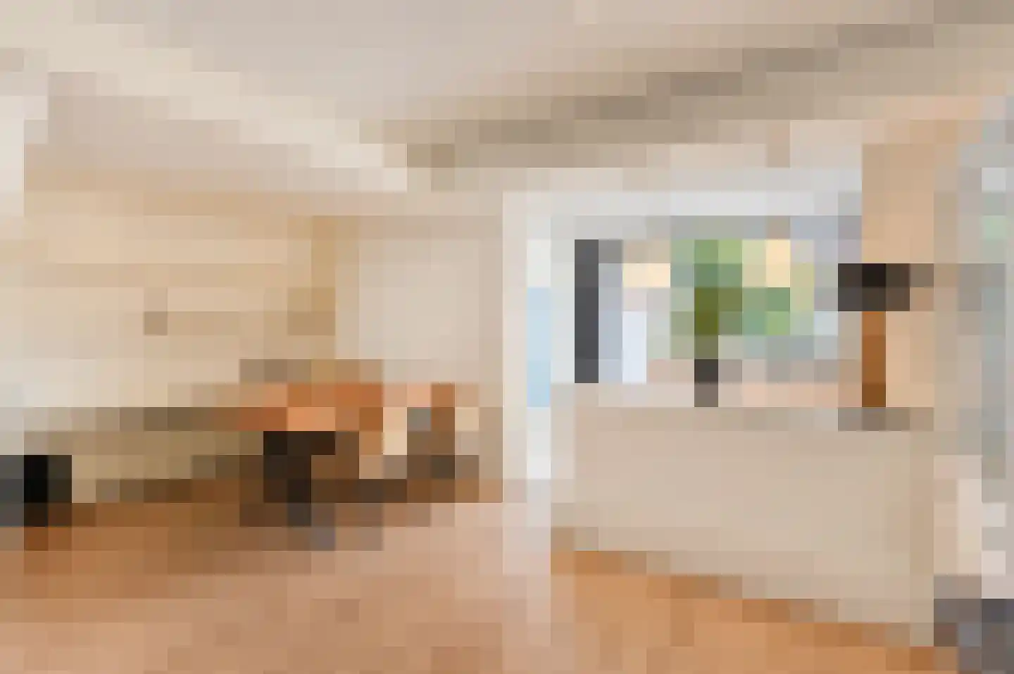 Cort van der Lindenstraat 22 Gouda thumbnail 13