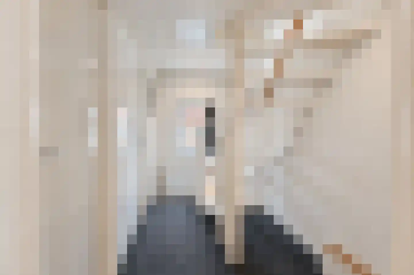 Cort van der Lindenstraat 22 Gouda thumbnail 25