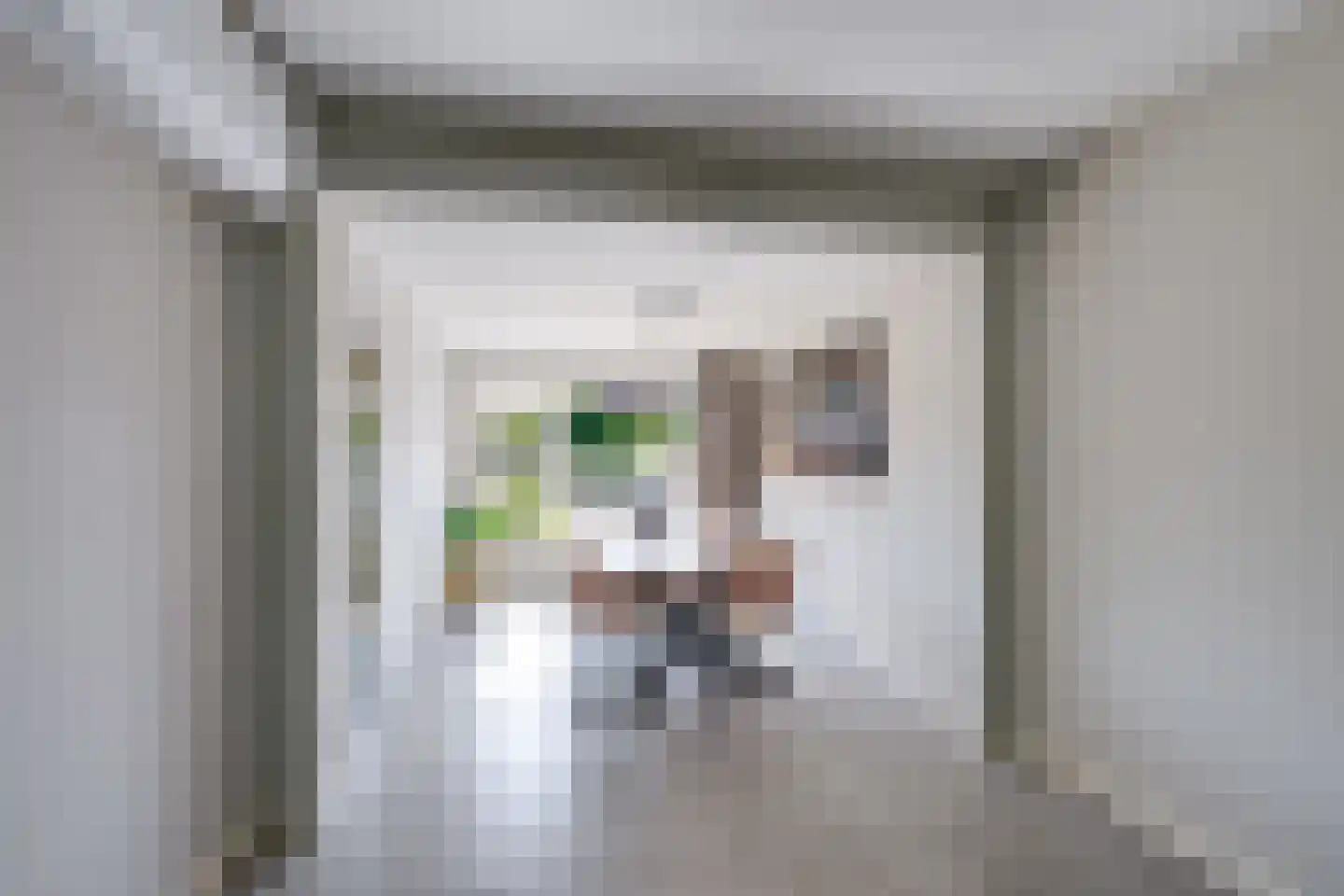 Cort van der Lindenstraat 24 Rijen thumbnail 20