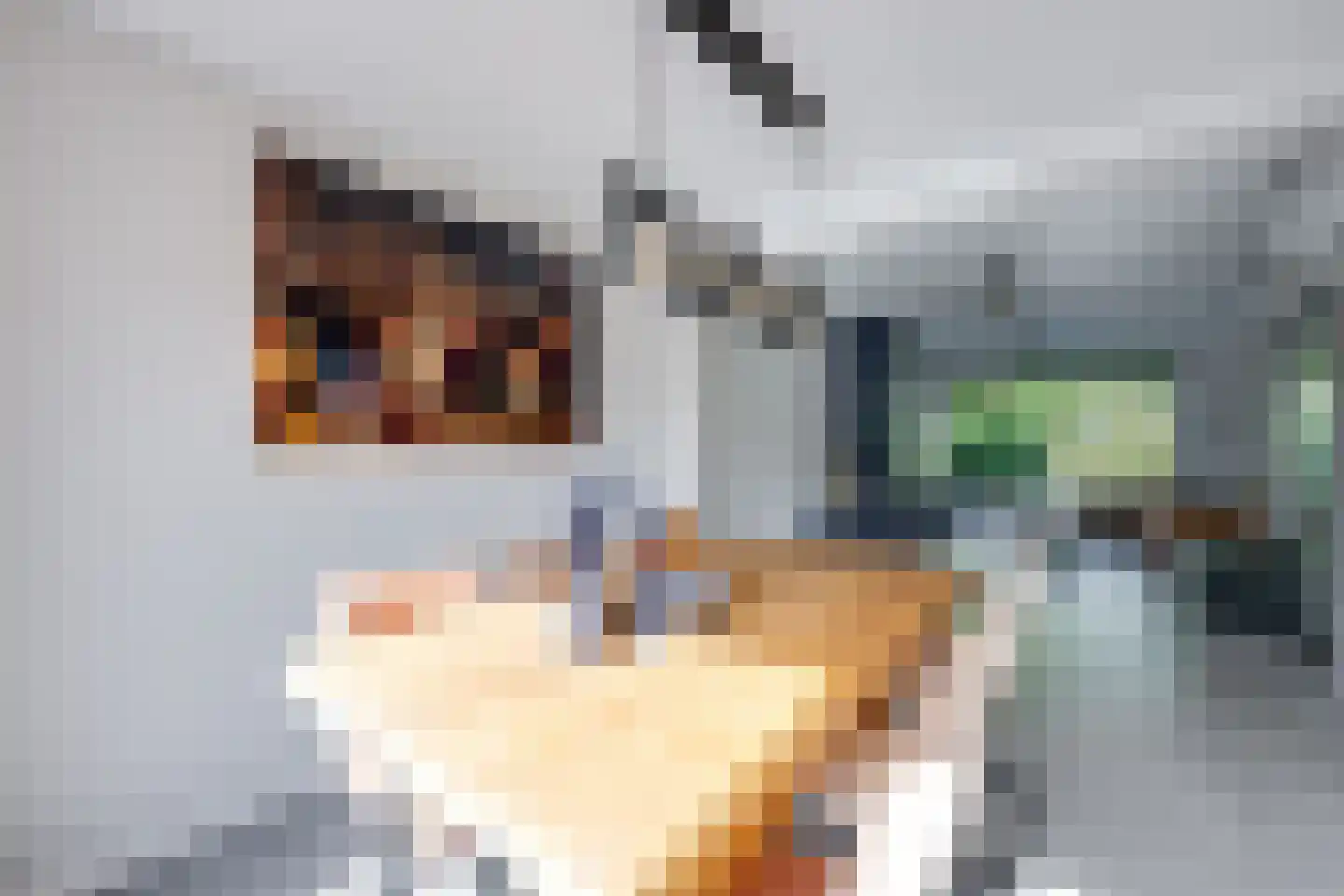 Cort van der Lindenstraat 24 Rijen thumbnail 21
