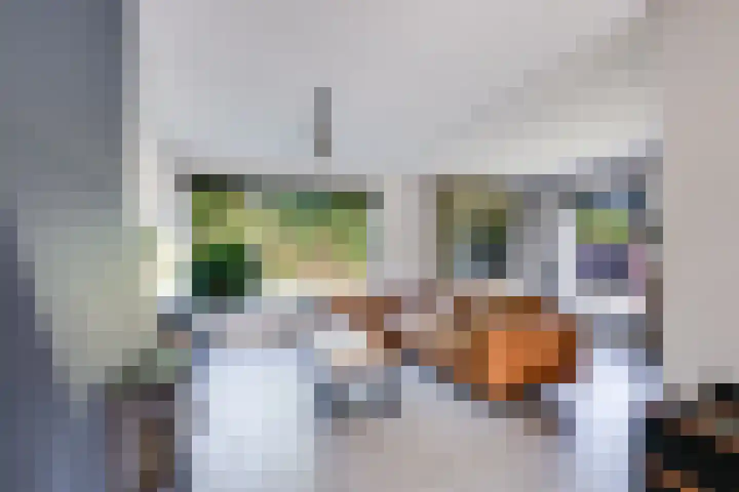 Cort van der Lindenstraat 24 Rijen thumbnail 23