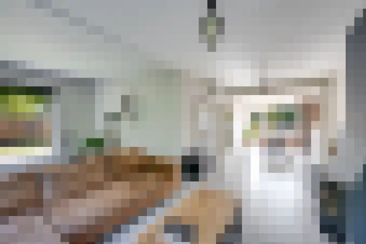 Cort van der Lindenstraat 24 Rijen thumbnail 4