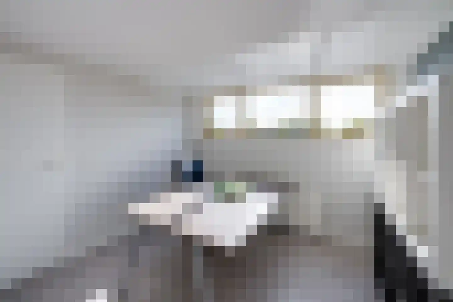 Cort van der Lindenstraat 24 Rijen thumbnail 55
