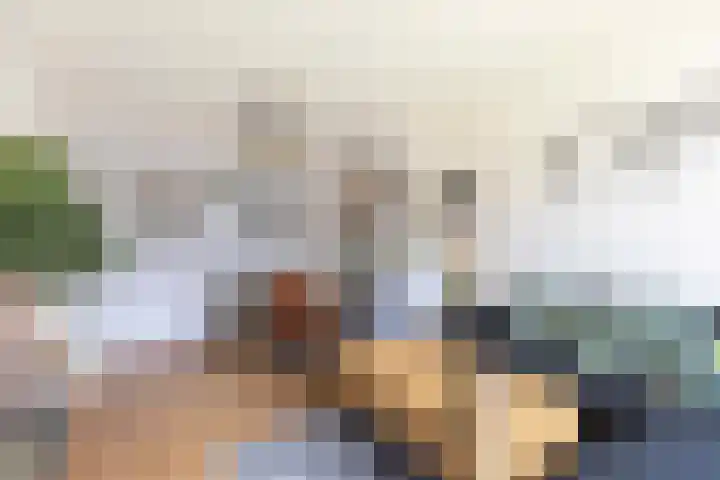 Cort van der Lindenstraat 26 Apeldoorn thumbnail 16