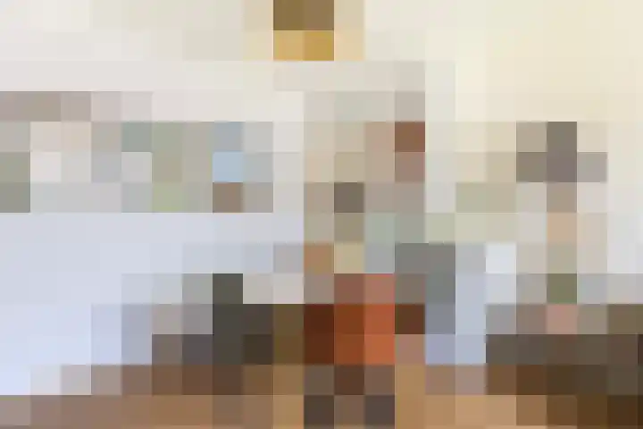 Cort van der Lindenstraat 26 Apeldoorn thumbnail 17