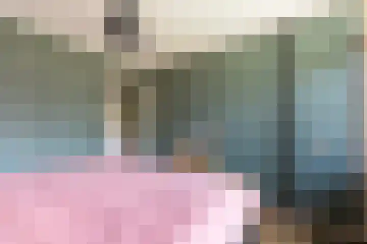 Cort van der Lindenstraat 26 Apeldoorn thumbnail 20