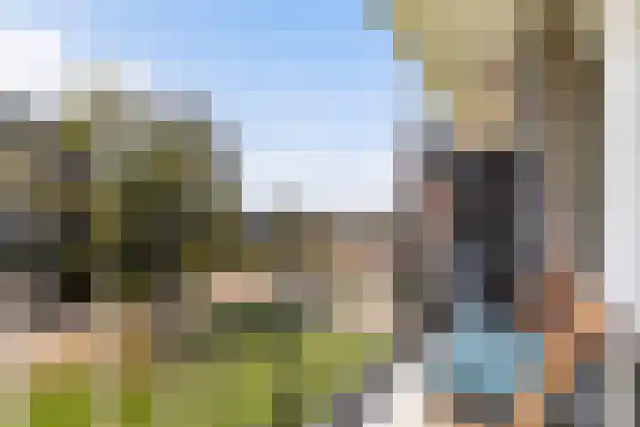 Cort van der Lindenstraat 26 Apeldoorn thumbnail 21
