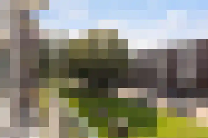 Cort van der Lindenstraat 26 Apeldoorn thumbnail 22