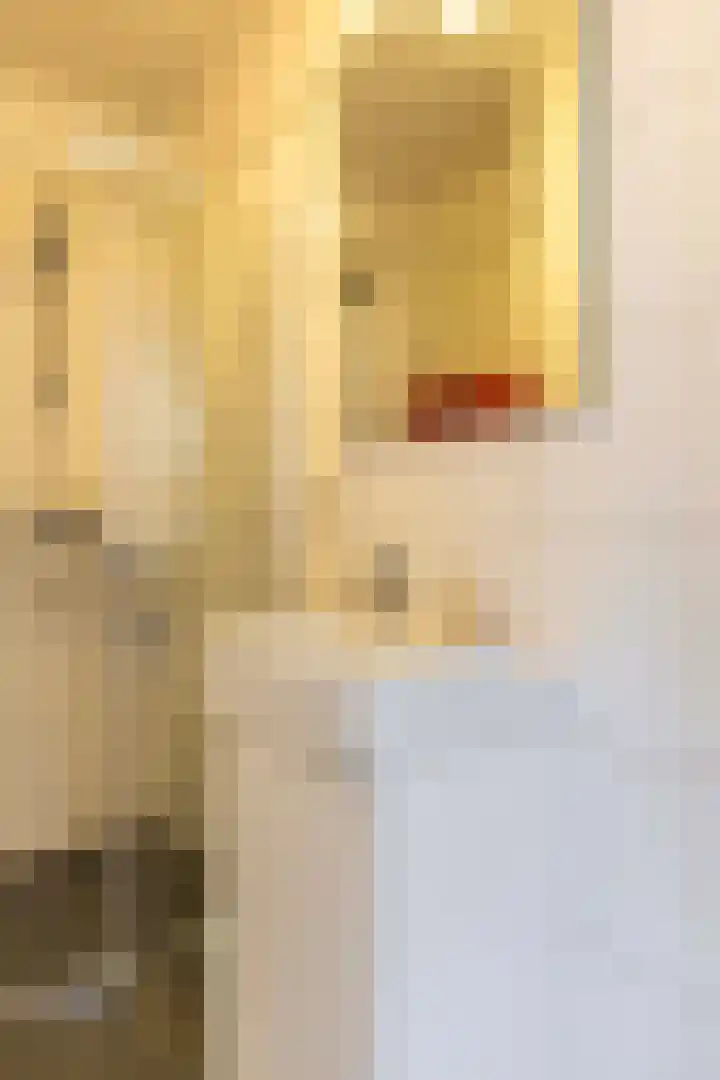 Cort van der Lindenstraat 26 Apeldoorn thumbnail 24