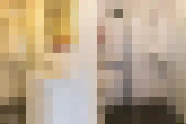 Cort van der Lindenstraat 26 Apeldoorn thumbnail 25