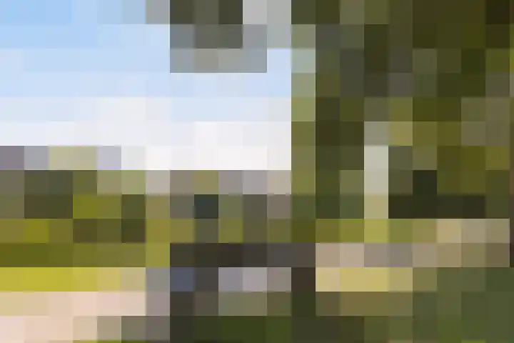 Cort van der Lindenstraat 26 Apeldoorn thumbnail 27