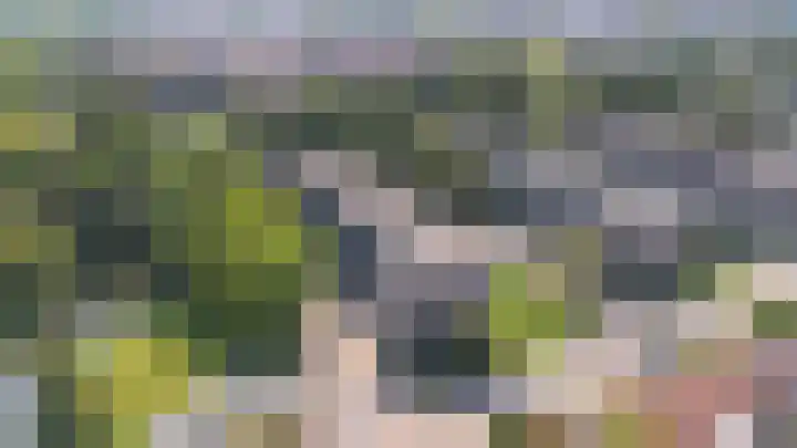 Cort van der Lindenstraat 26 Apeldoorn thumbnail 30