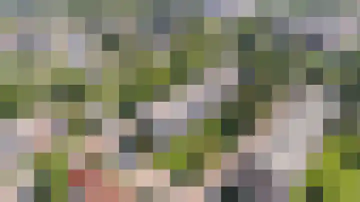 Cort van der Lindenstraat 26 Apeldoorn thumbnail 32