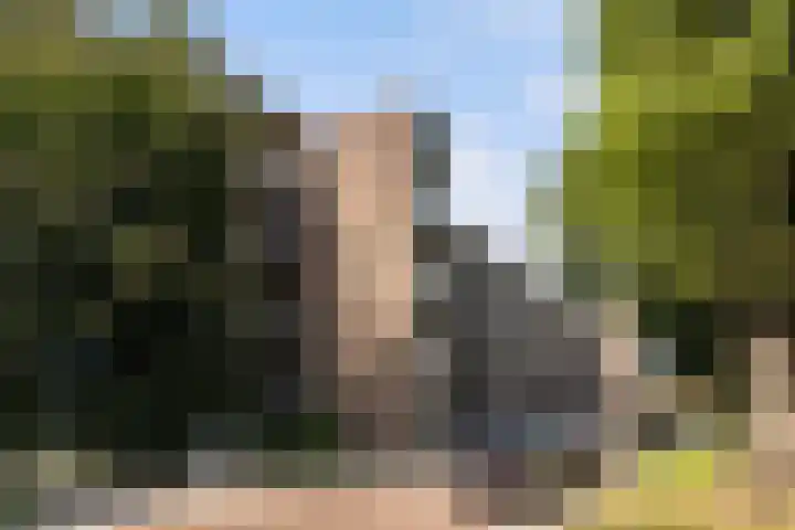 Cort van der Lindenstraat 26 Apeldoorn thumbnail 5