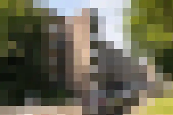 Cort van der Lindenstraat 26 Apeldoorn thumbnail 6