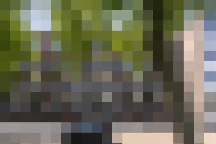 Cort van der Lindenstraat 26 Apeldoorn thumbnail 7