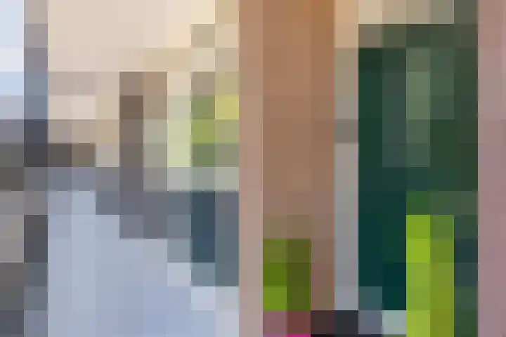 Cort van der Lindenstraat 26 Apeldoorn thumbnail 8