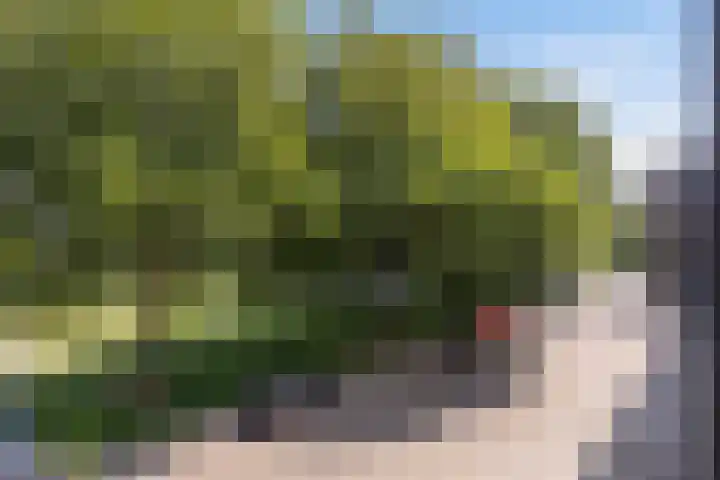 Cort van der Lindenstraat 26 Apeldoorn thumbnail 9