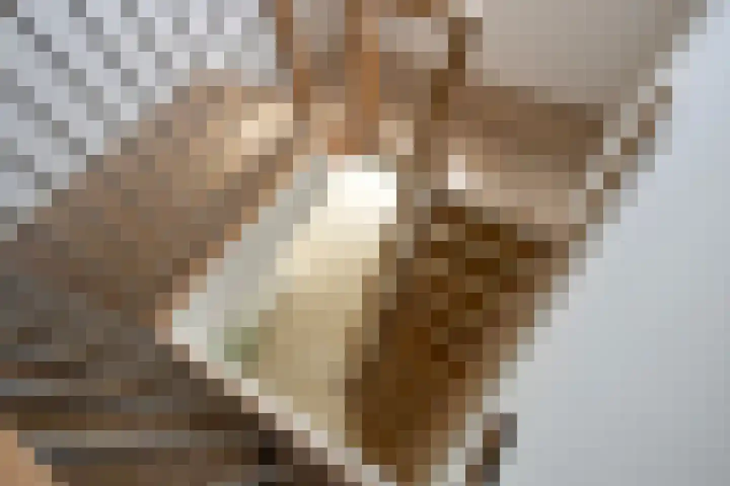 Cort van der Lindenstraat 26 Zandvoort thumbnail 28