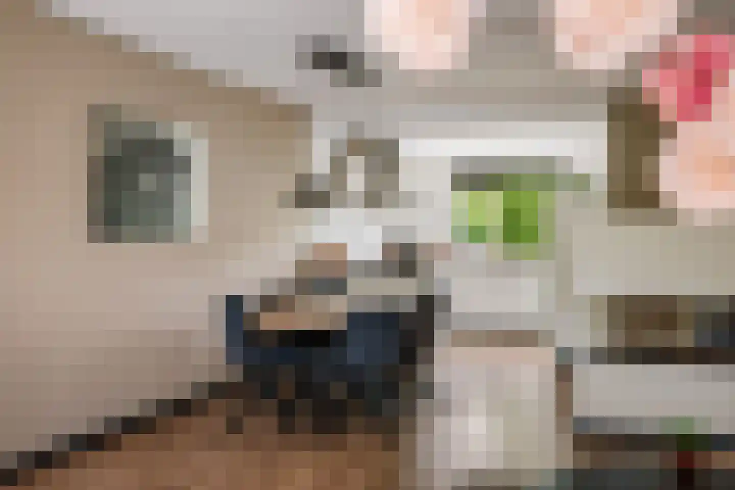 Cort van der Lindenstraat 28 Epe thumbnail 15