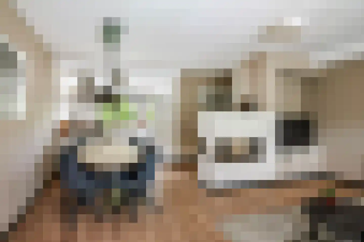 Cort van der Lindenstraat 28 Epe thumbnail 16