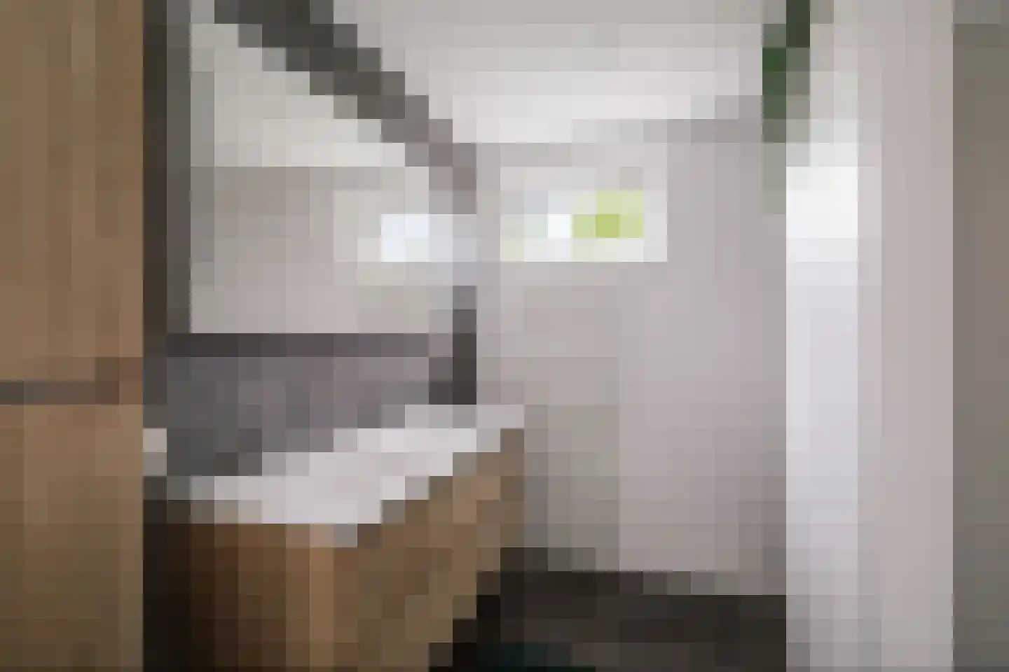 Cort van der Lindenstraat 28 Epe thumbnail 23