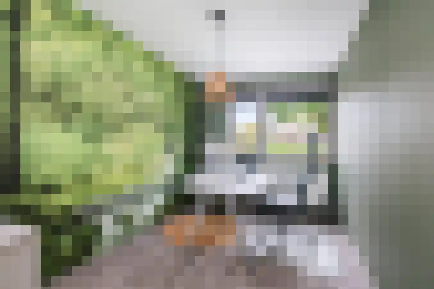 Cort van der Lindenstraat 28 Epe thumbnail 25