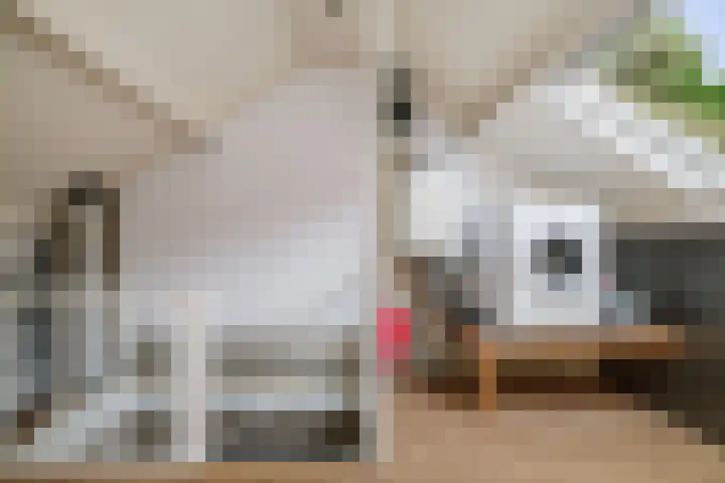 Cort van der Lindenstraat 28 Epe thumbnail 27