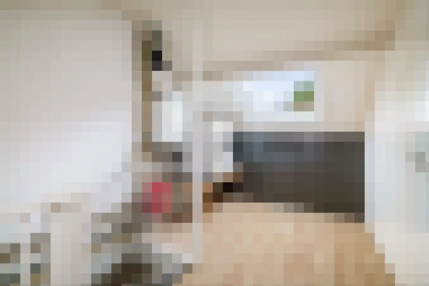 Cort van der Lindenstraat 28 Epe thumbnail 28