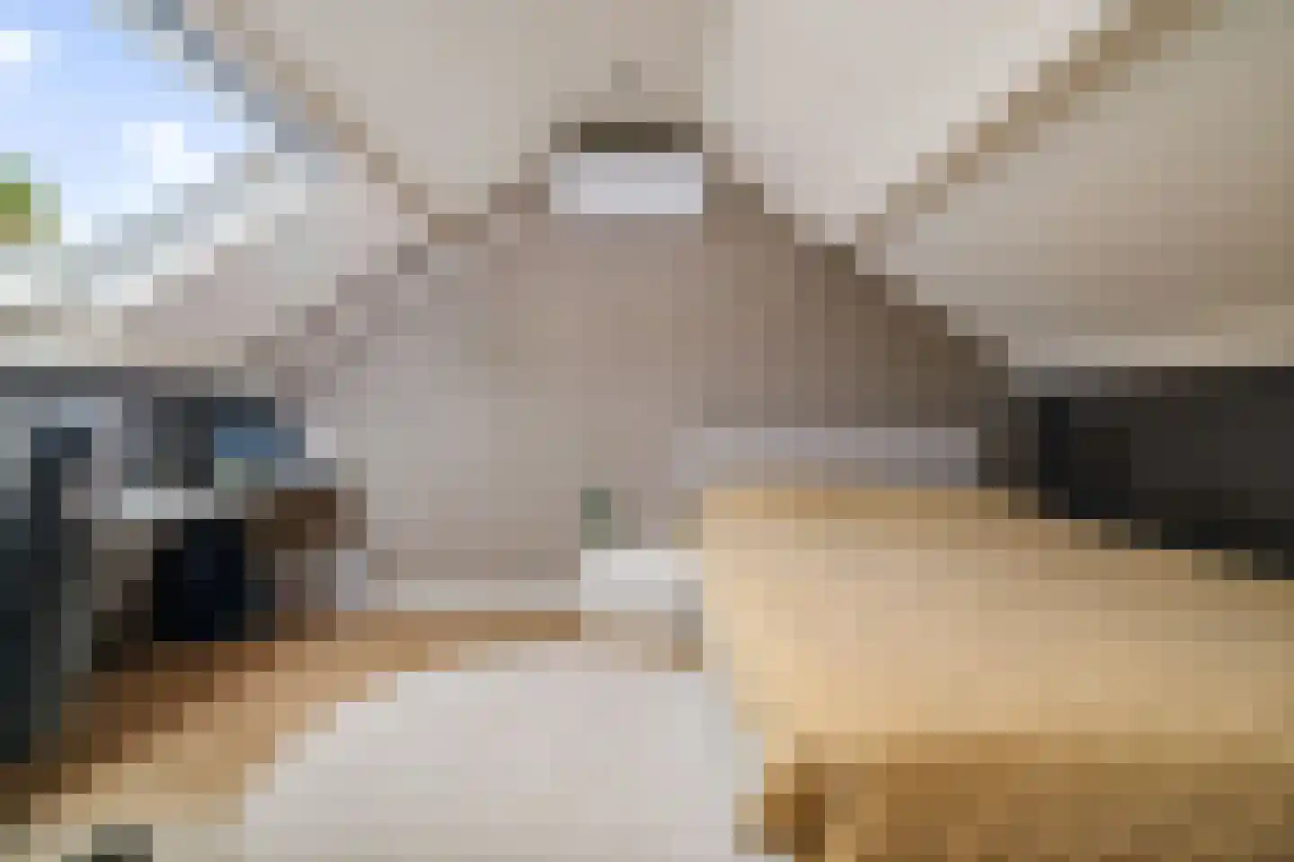 Cort van der Lindenstraat 28 Epe thumbnail 29